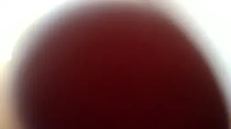 313emile — Stripchat stream photo (Sep 2026)