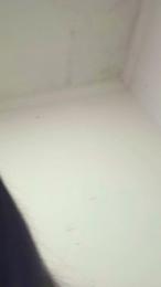 Katalehia — Cam4 stream photo (Apr 2026)