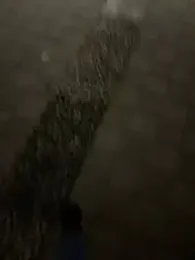 Foxfoxfox4 — stripchatでウェブカムモデルオンライン