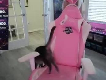daphnemadison — Chaturbate stream photo (Aug 2026)