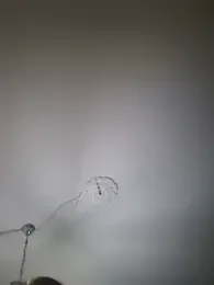 lotteliefde1 — Stripchat stream photo (Sep 2026)
