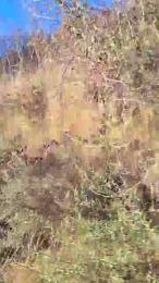 Victor3778 — Cam4 stream photo (Feb 2026)