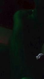 daddybearmadri5 — cam4でウェブカムモデルオンライン