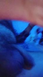 daddybearmadri5 — Cam4 stream photo (Jan 2026)