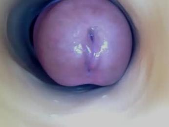 paulainoscente — Chaturbate profile photo