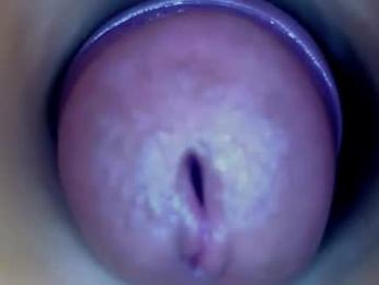 paulainoscente — Chaturbate stream photo (Oct 2026)