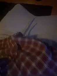 madehercumm — Stripchat stream photo (Aug 2026)