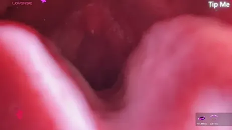 donghuangtaiyi--- — stripchatでウェブカムモデルオンライン