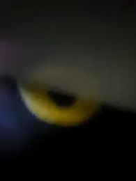 hotbaby_5 — Stripchat stream photo (Mar 2026)