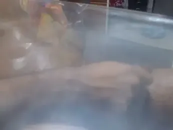 BBC-XXL — Stripchat stream photo (Feb 2026)