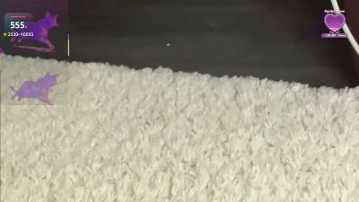 EdwinaClose — Cam4 stream photo (Apr 2026)