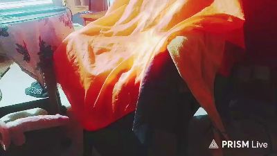 golfo181 — Cam4 stream photo (Sep 2026)