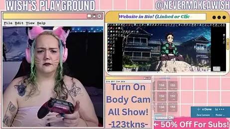 nevermakeawish — Stripchat stream photo (Feb 2026)