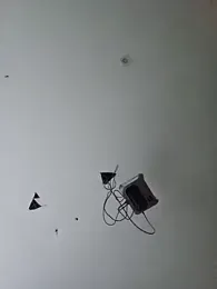membro_destruidor — stripchat