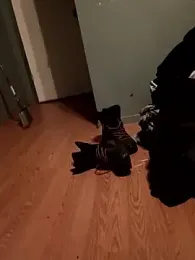 Crossedsissy — Stripchat stream photo (Feb 2026)