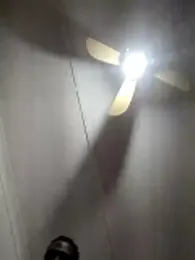 koolbend — Stripchat stream photo (Apr 2026)