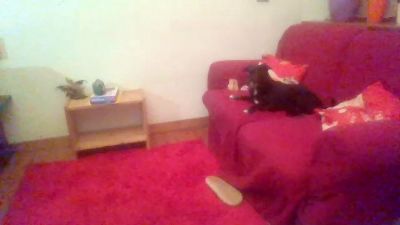 extrascoup — Cam4 stream photo (Jan 2026)