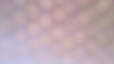 saraa88 — Cam4 stream photo (Apr 2026)