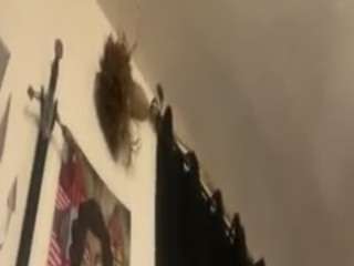 shatterranchski — Camsoda stream photo (Apr 2026)