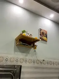 __BabyShowPublic__ — Stripchat stream photo (Dec 2025)