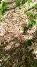 Etoile67moosa — Cam4 stream photo (Apr 2026)