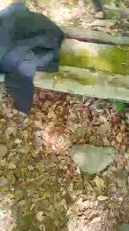 Etoile67moosa — Cam4 stream photo (Apr 2026)