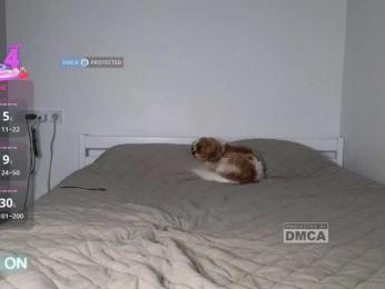 CrazyNastya1 — Bongacams stream photo (Sep 2026)