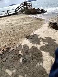 Gustavo52367 — Stripchat stream photo (Feb 2026)