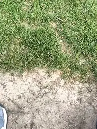 geilerboy2628 — Stripchat stream photo (Apr 2026)