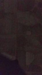 DanyCapo00 — Cam4 stream photo (Dec 2025)