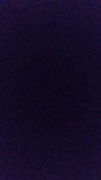 DanyCapo00 — Cam4 stream photo (Jan 2026)