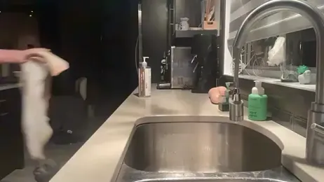 Toy-Daddy — Stripchat stream photo (Apr 2026)