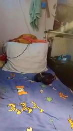 DrHuelsentrieb — Cam4 stream photo (Apr 2026)