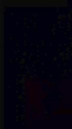 Edymoreni — Cam4 stream photo (Jul 2026)
