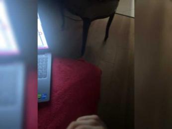 OlyaCharme — Bongacams profile photo