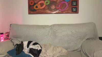 AmoElite — Cam4 stream photo (Mar 2026)