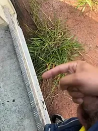 boladeouro126 — stripchat