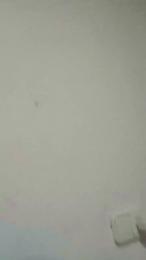 tusmorbosos3 — Cam4 stream photo (Mar 2026)