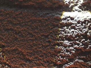 Ema Malkova — Flirt4free stream photo (Mar 2026)