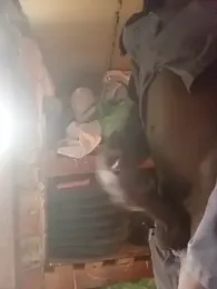 dicklife3485 — Stripchat profile photo