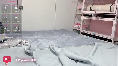 nide_xiaogou — Stripchat stream photo (Sep 2026)
