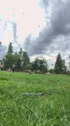 exxxhibitthis — Cam4 stream photo (Aug 2026)