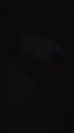 Spanit — Cam4 stream photo (Feb 2026)