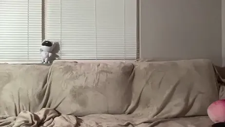 piscesaurora — Stripchat stream photo (Jan 2026)