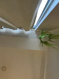 ZaraLuuv — Stripchat stream photo (Feb 2026)