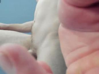 _alex_madrid_ — Chaturbate stream photo (Mar 2026)