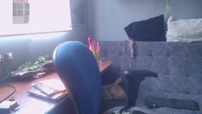 Nicolette_V — Cam4 stream photo (Sep 2026)