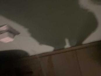 FoxMink2000 — bongacamsでウェブカムモデルオンライン