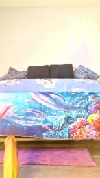 Dollysex6 — Cam4 stream photo (Aug 2026)