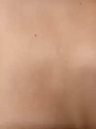 Ary-18 — Stripchat recorded stream image, 26.05.2025 13:40